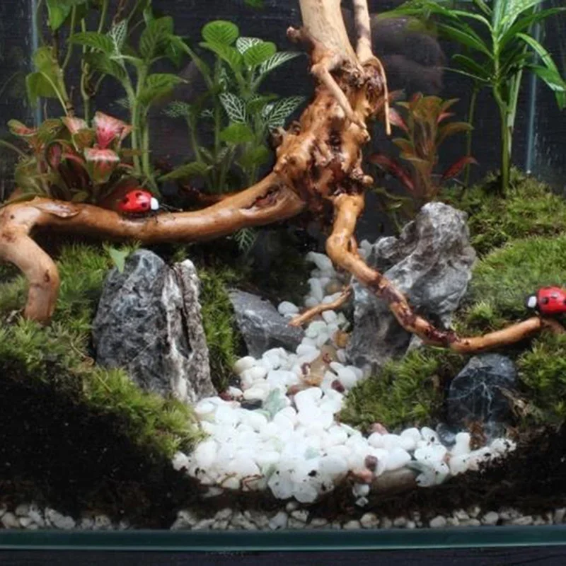 Natural Tree Trunk Driftwood A - Marine Aquarium All In One review and price