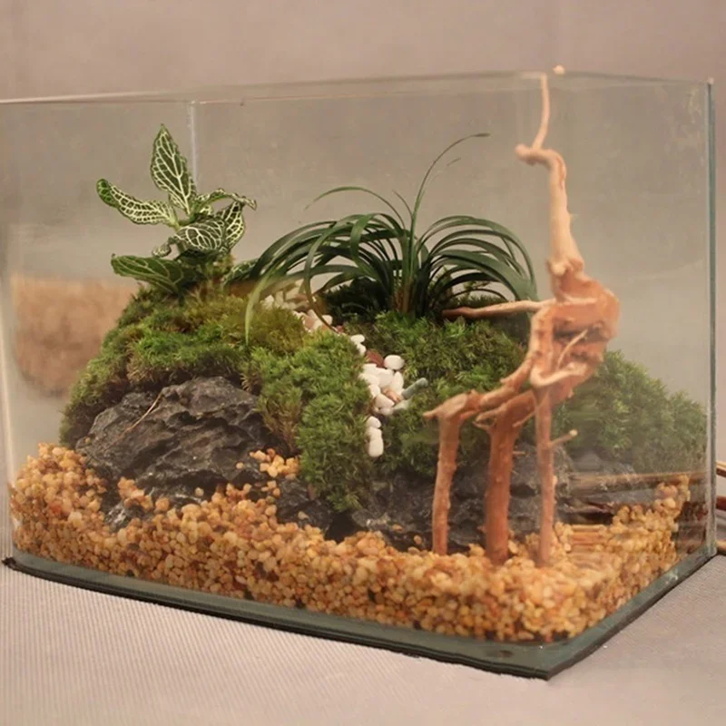 Natural Tree Trunk Driftwood A - Marine Aquarium All In One review and price
