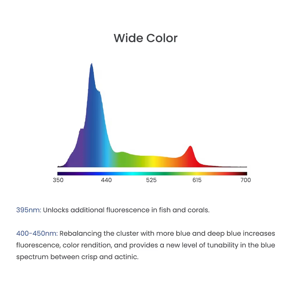 A8SE/A8PRO 2.0 Generation 240W - Marine Aquarium App review and price