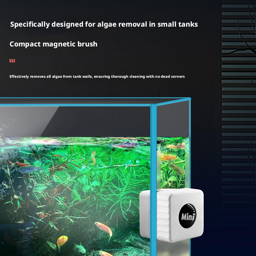 Magnetic Aquarium Glass Cleane - Marine Aquarium Glass Scraper review and price