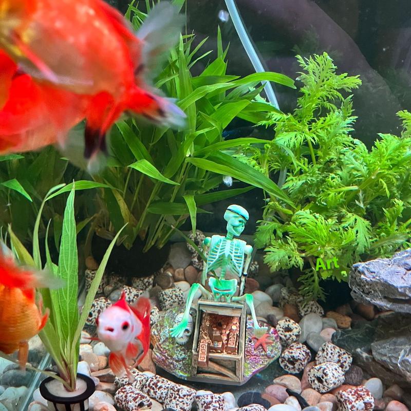 Fish Tank Aerobic Landscape Bu - Marine Aquarium All In One review and price