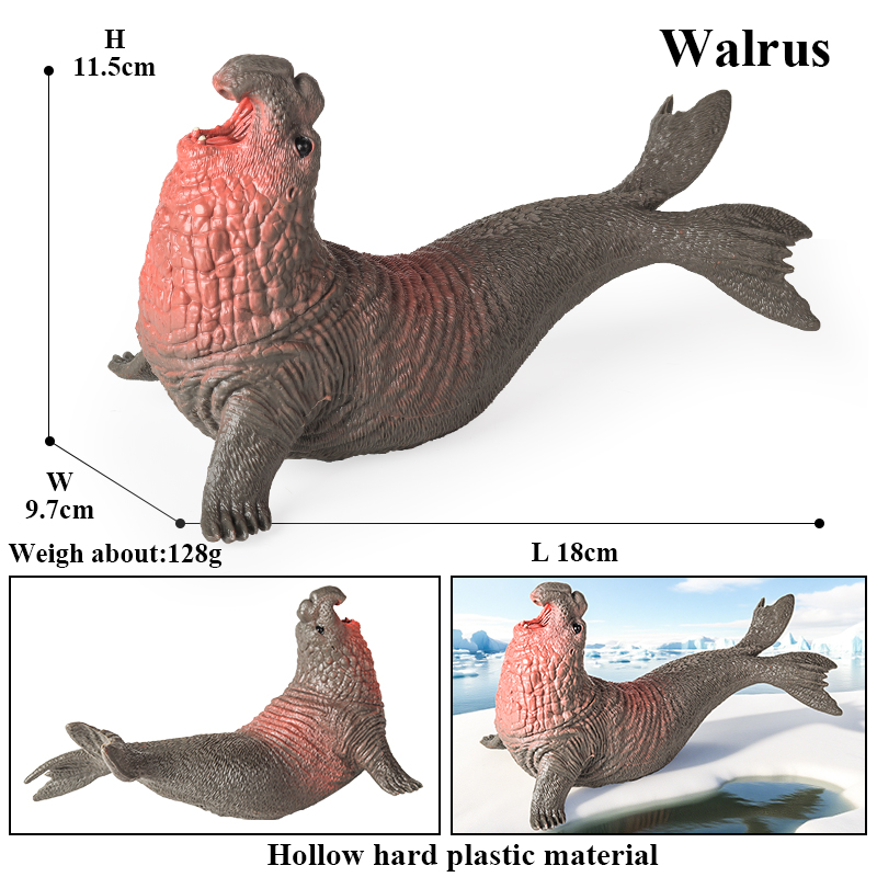 Oenux New Sea Life Seal Sea Li - Aquarium Blue Marine review and price