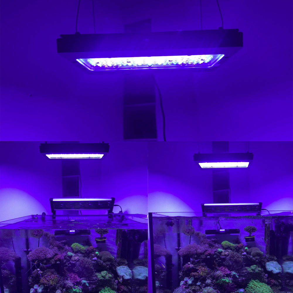 A8se Pro III MAX Blue 240W Mar - Aquarium Blue Marine review and price