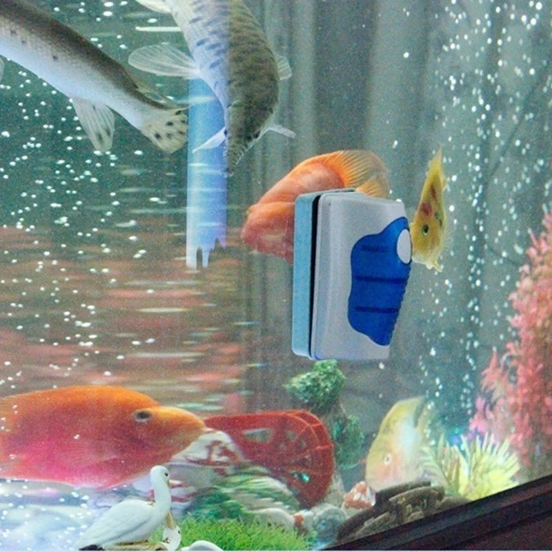 Fish Tank Glass Scraper Cleane - Marine Aquarium Glass Scraper review and price
