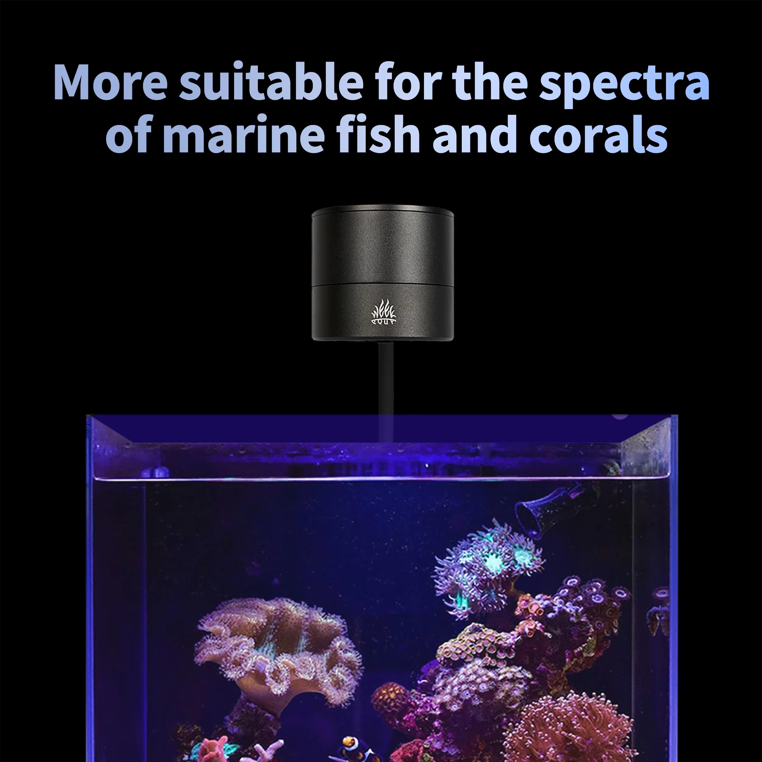 WEEK AQUA Aquarium Light Manuf - Aquarium Blue Marine review and price