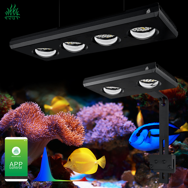 ZXY Hot Sale WEEKAQUA Z250 Z40 - Aquarium Blue Marine review and price