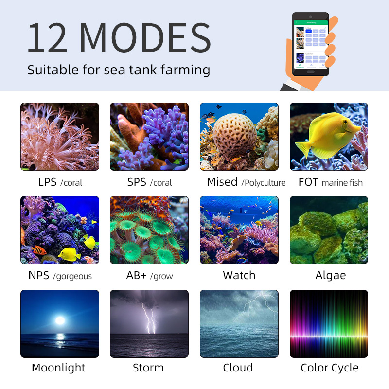 ZXY Hot Sale WEEKAQUA Z250 Z40 - Aquarium Blue Marine review and price