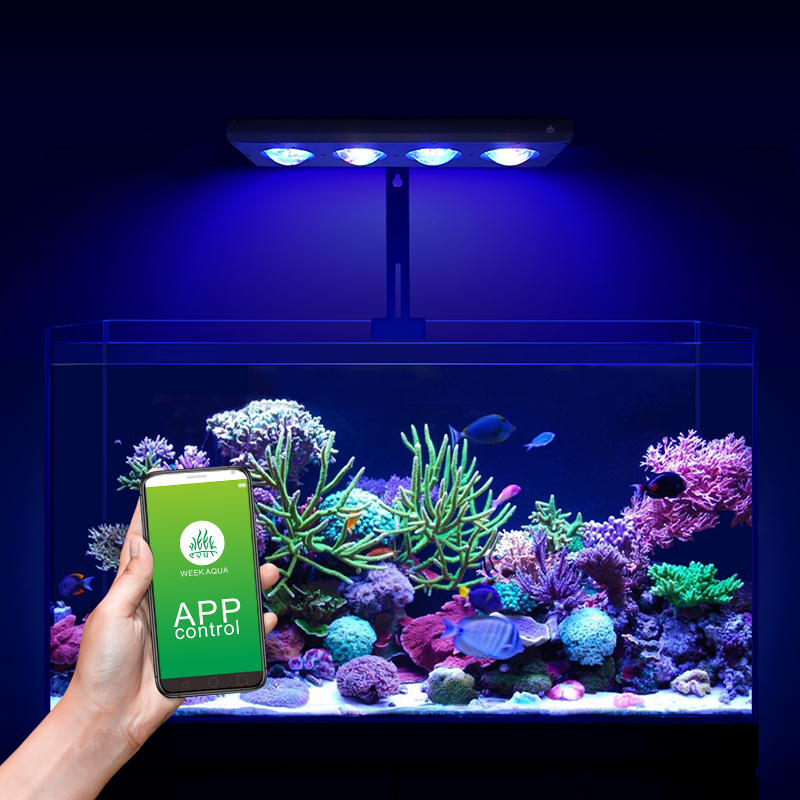 ZXY Hot Sale WEEKAQUA Z250 Z40 - Aquarium Blue Marine review and price