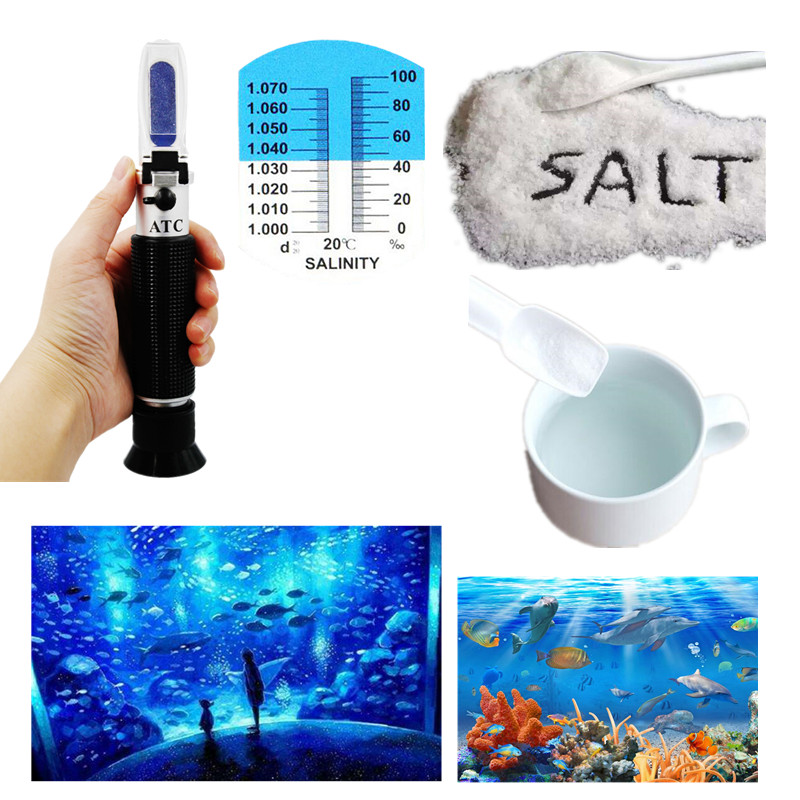 Salinity Refractometer 0-10% 1 - Marine Aquarium Refractometer review and price