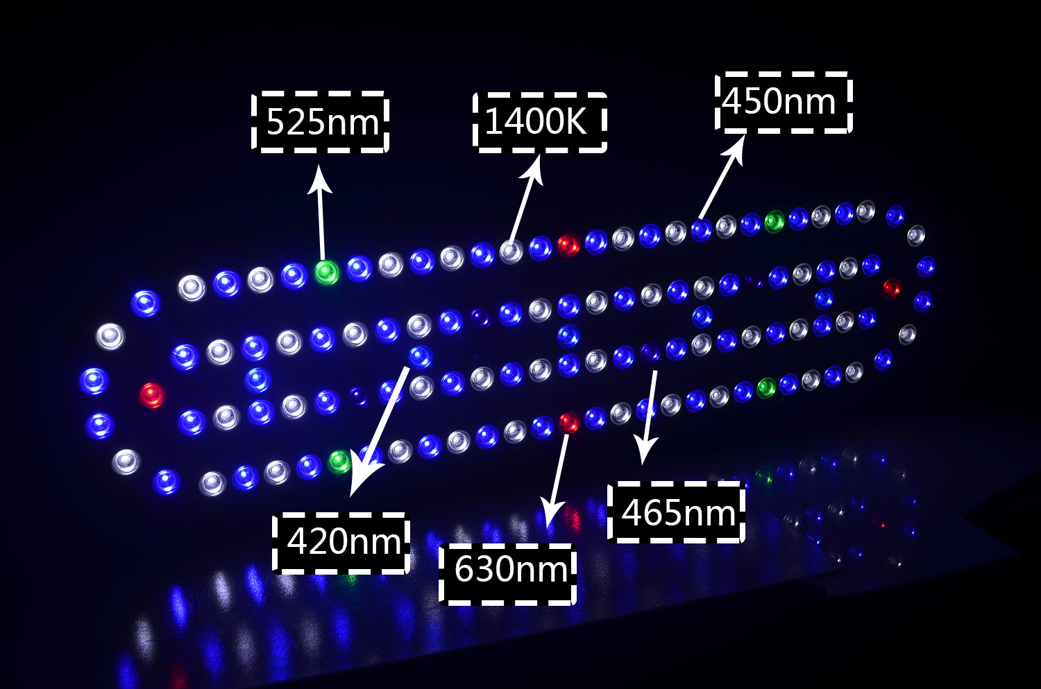 WiFi APP Remote Control Led Aq - Marine Aquarium App review and price