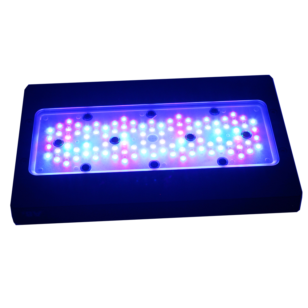 Wholesale A8 Smart WiFi App Pr - Marine Aquarium App review and price