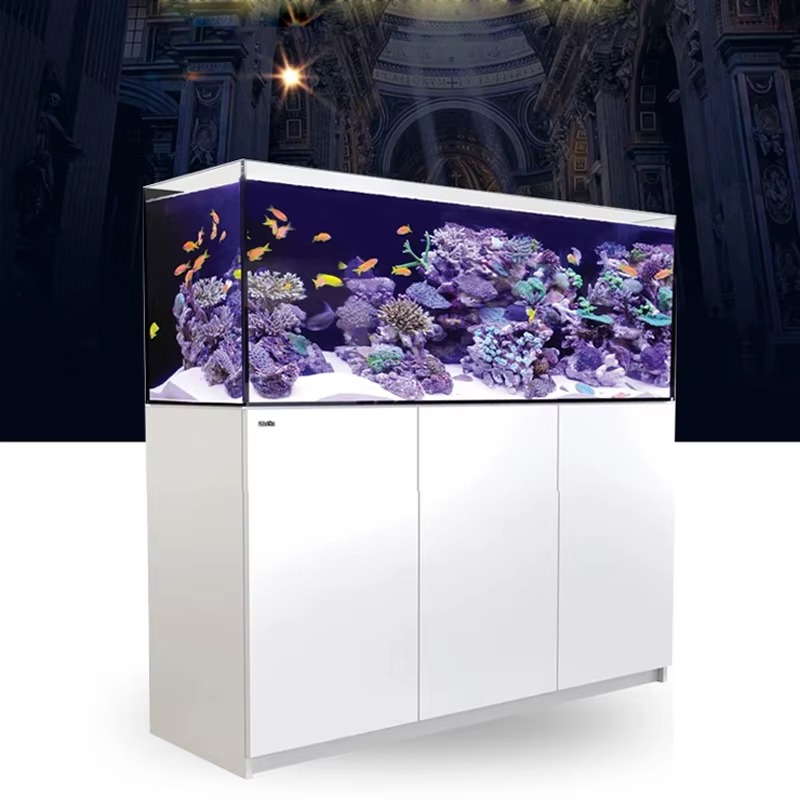 aquarium accessories High Qual - Aquarium Marine Setup review and price