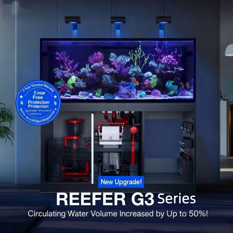 aquarium accessories High Qual - Aquarium Marine Setup review and price