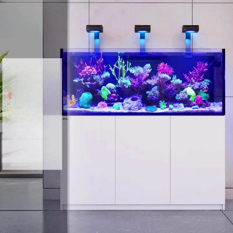 aquarium accessories High Qual - Aquarium Marine Setup review and price