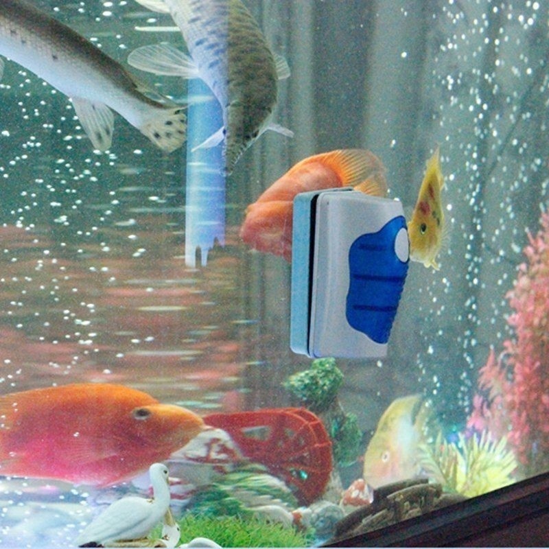 Fish Tank Glass Scraper Cleane - Marine Aquarium Glass Scraper review and price
