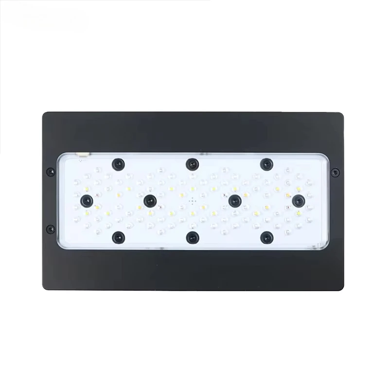 A8Pro Max/Blue 240W CREE Light - Aquarium Blue Marine review and price