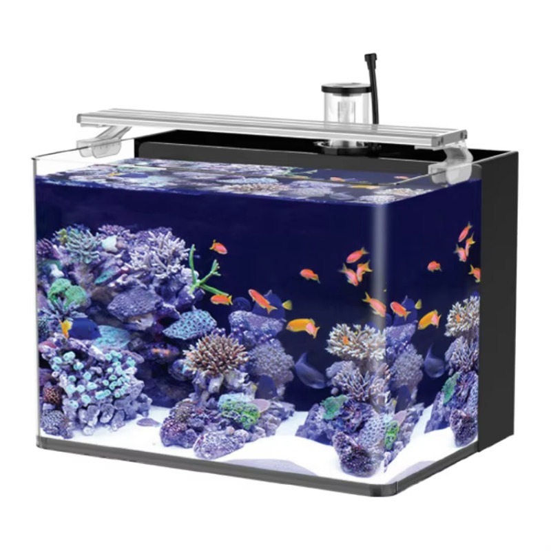Table Curved Saltwater Marine  - Marine Aquarium All In One review and price