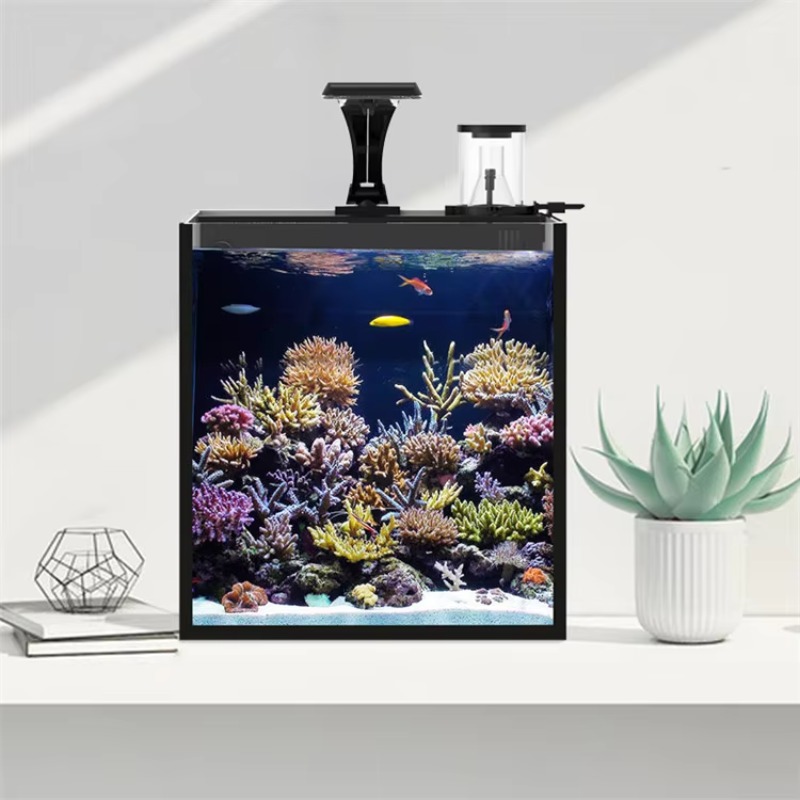 Table Curved Saltwater Marine  - Marine Aquarium All In One review and price